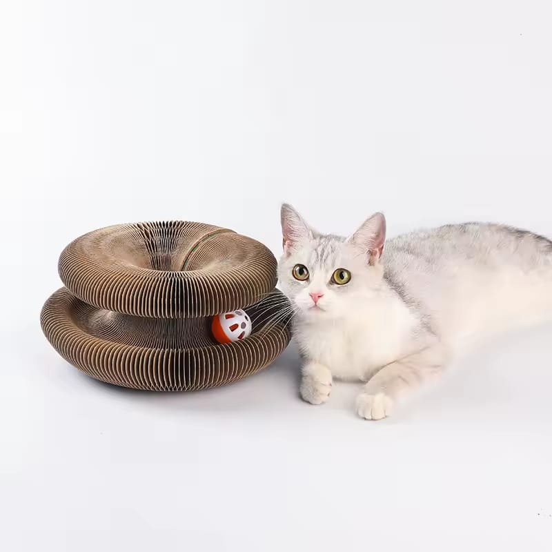 Cat kurlz
